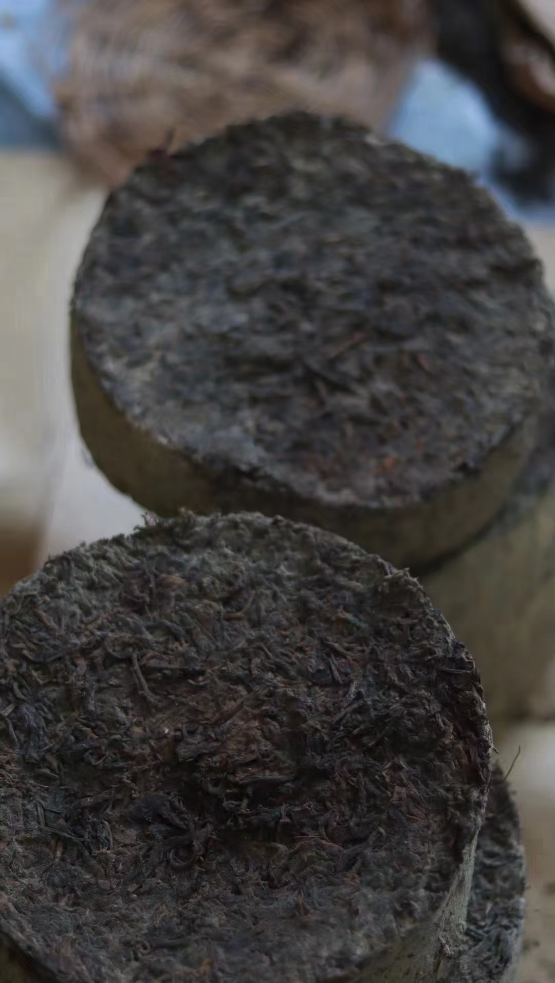 百茶堂茶柱0507,茶柱的制作储存中暗藏不少天机,每棵茶各有特色,这是上天的造化配图6