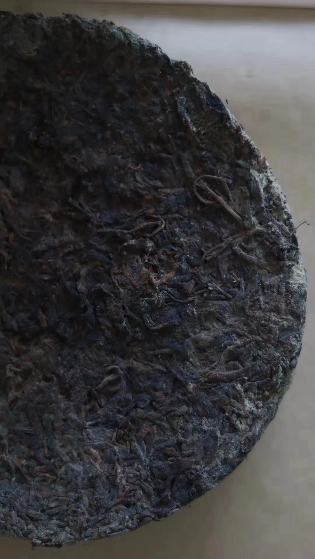 百茶堂茶柱0507,茶柱的制作储存中暗藏不少天机,每棵茶各有特色,这是上天的造化配图8