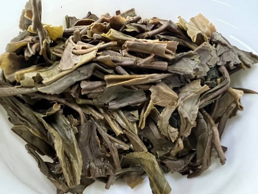 茶底信息图片1