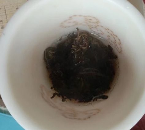 茶底信息图片1