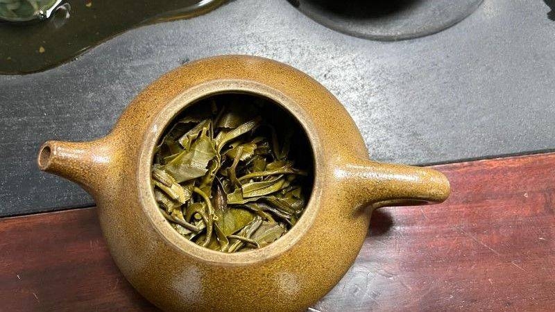 茶底信息图片1