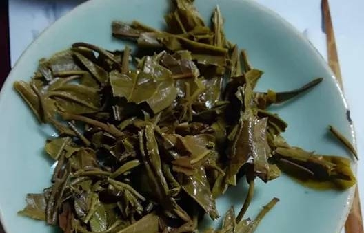 茶底信息图片1