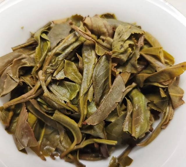 茶底信息图片1