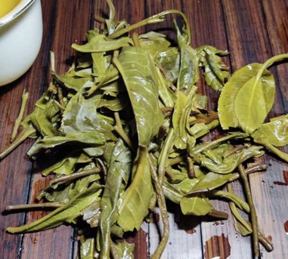 茶底信息图片1