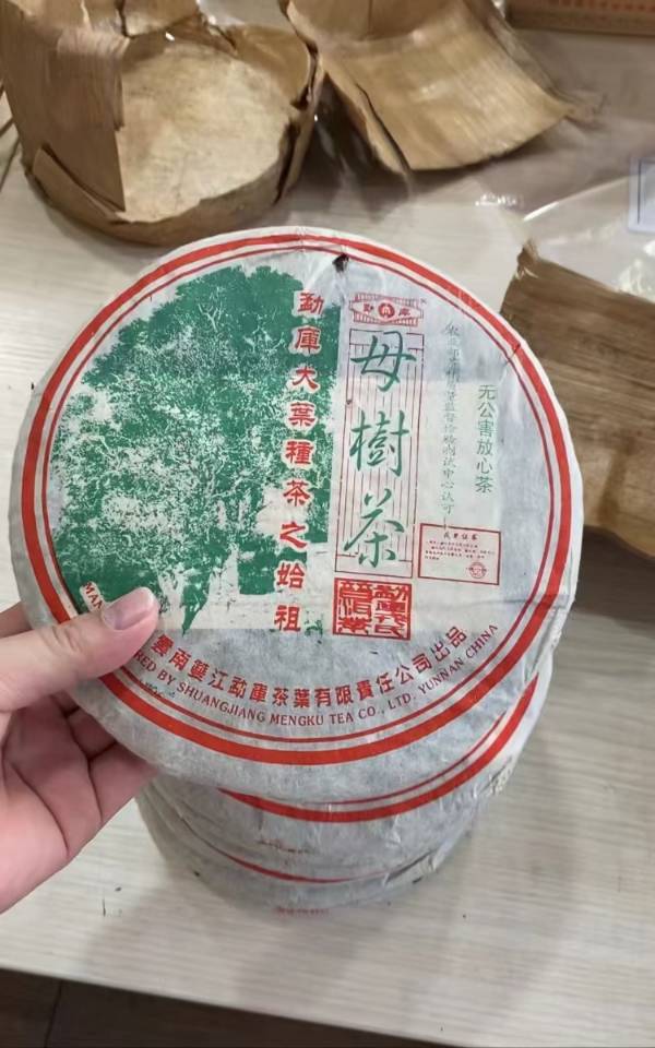 2005年勐库母树茶春母,首批母树茶一代配图1