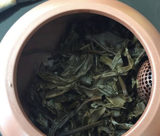 茶底信息图片1