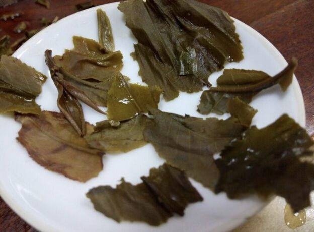 茶底信息图片1
