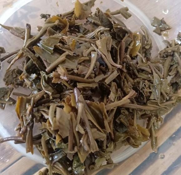 茶底信息图片1