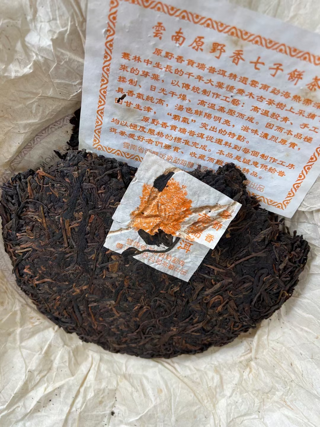 02年黎明贡瑞原野香配图3