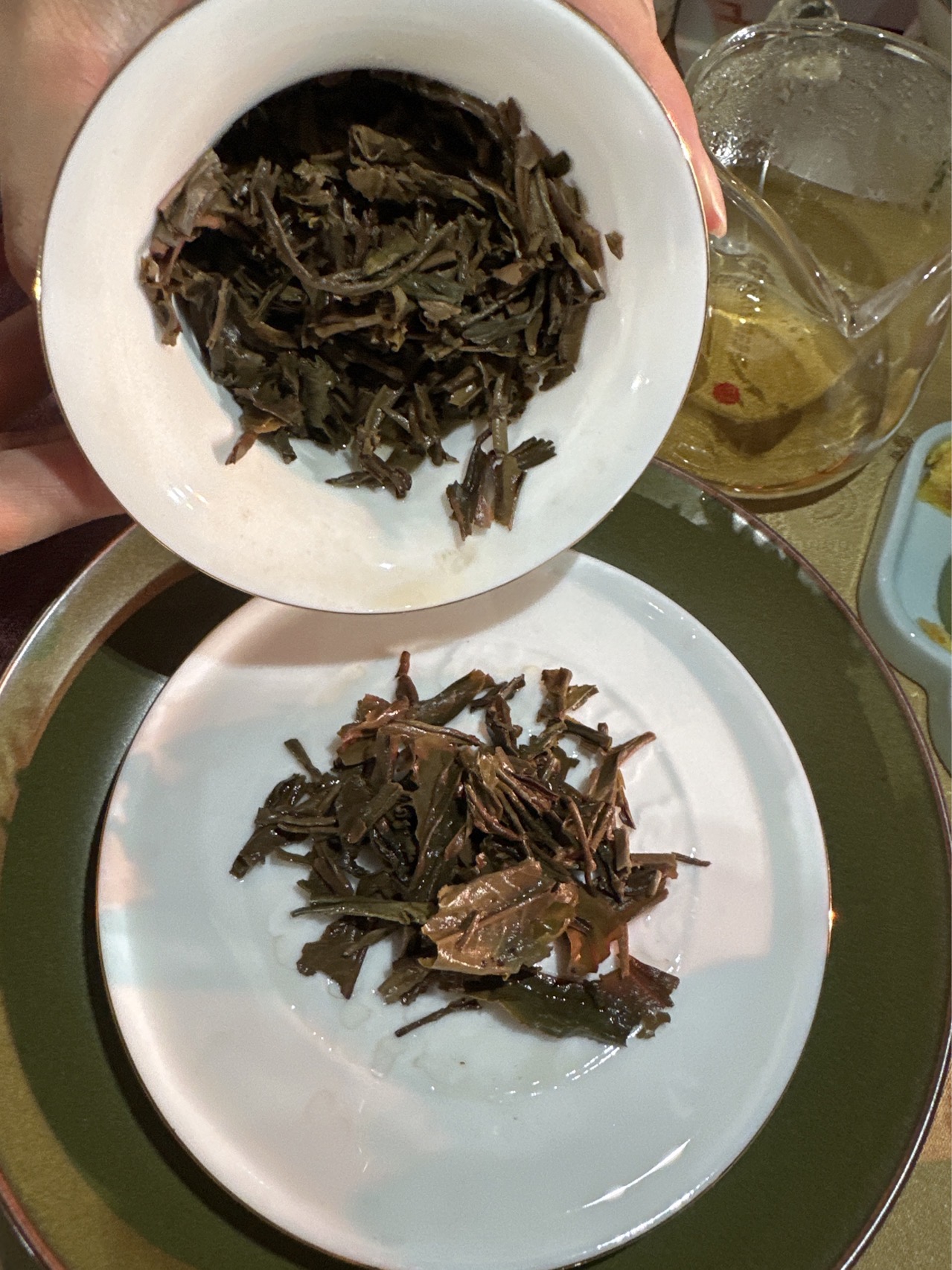 茶底信息图片3