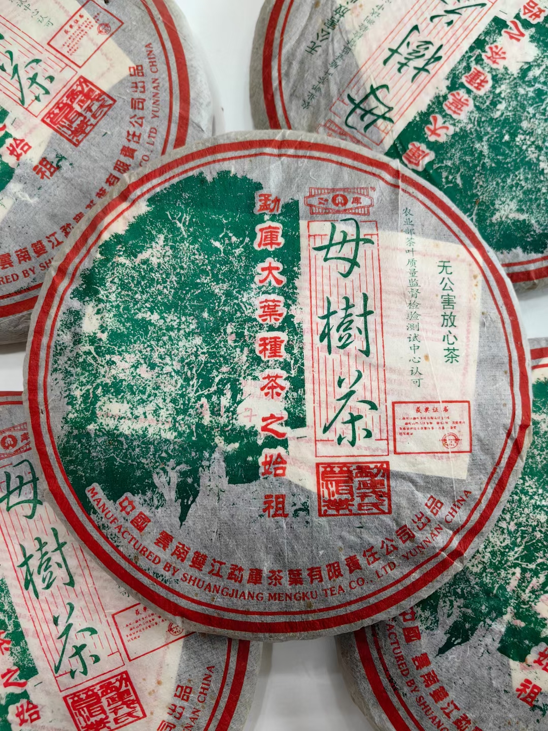 2005年勐库母树茶春母配图4