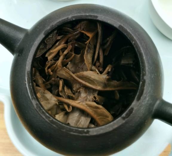 茶底信息图片1