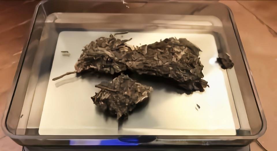干茶信息图片1