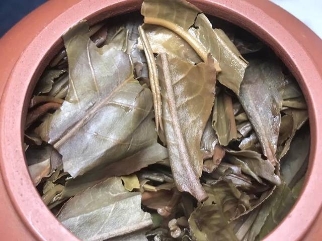茶底信息图片1