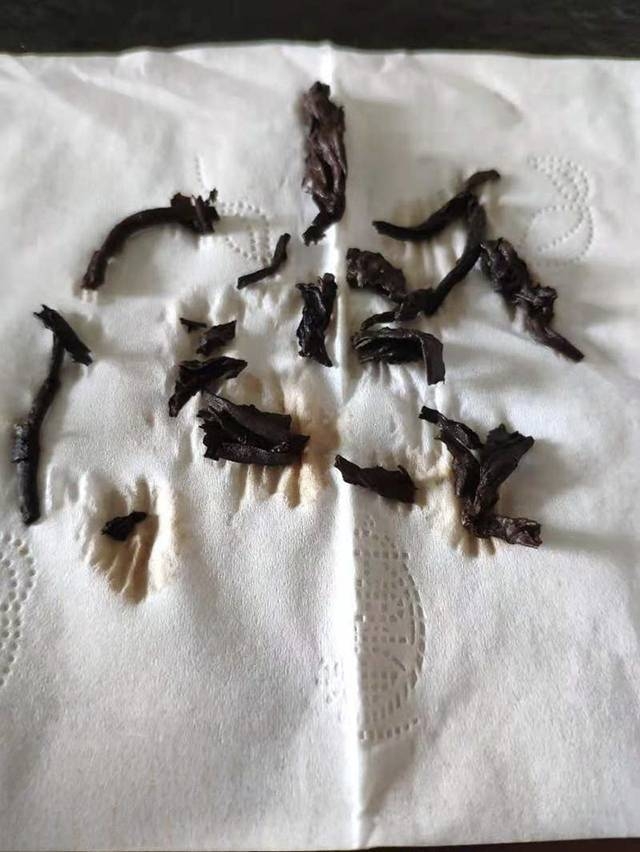 茶底信息图片1