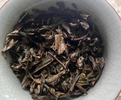 茶底信息图片1