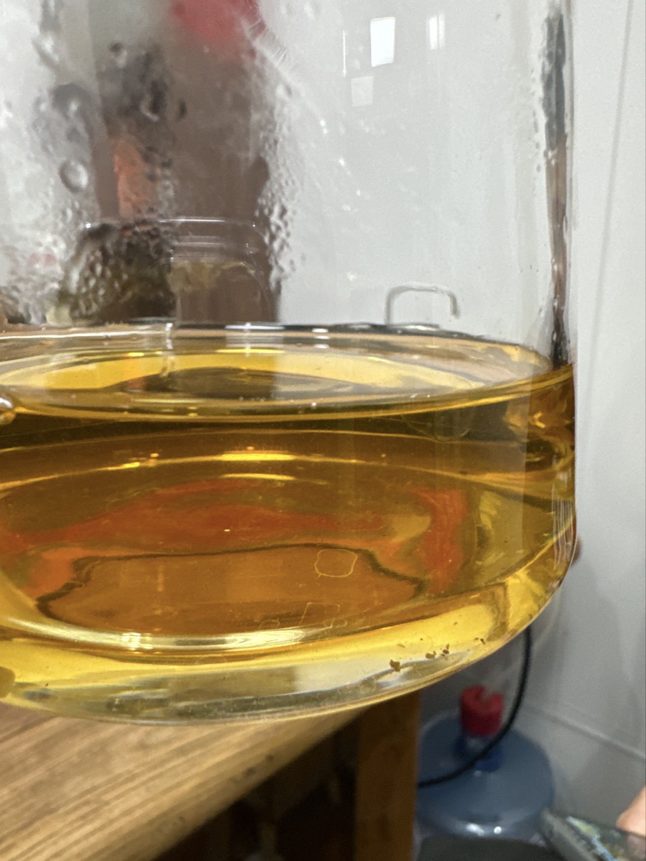 第7泡茶图片1