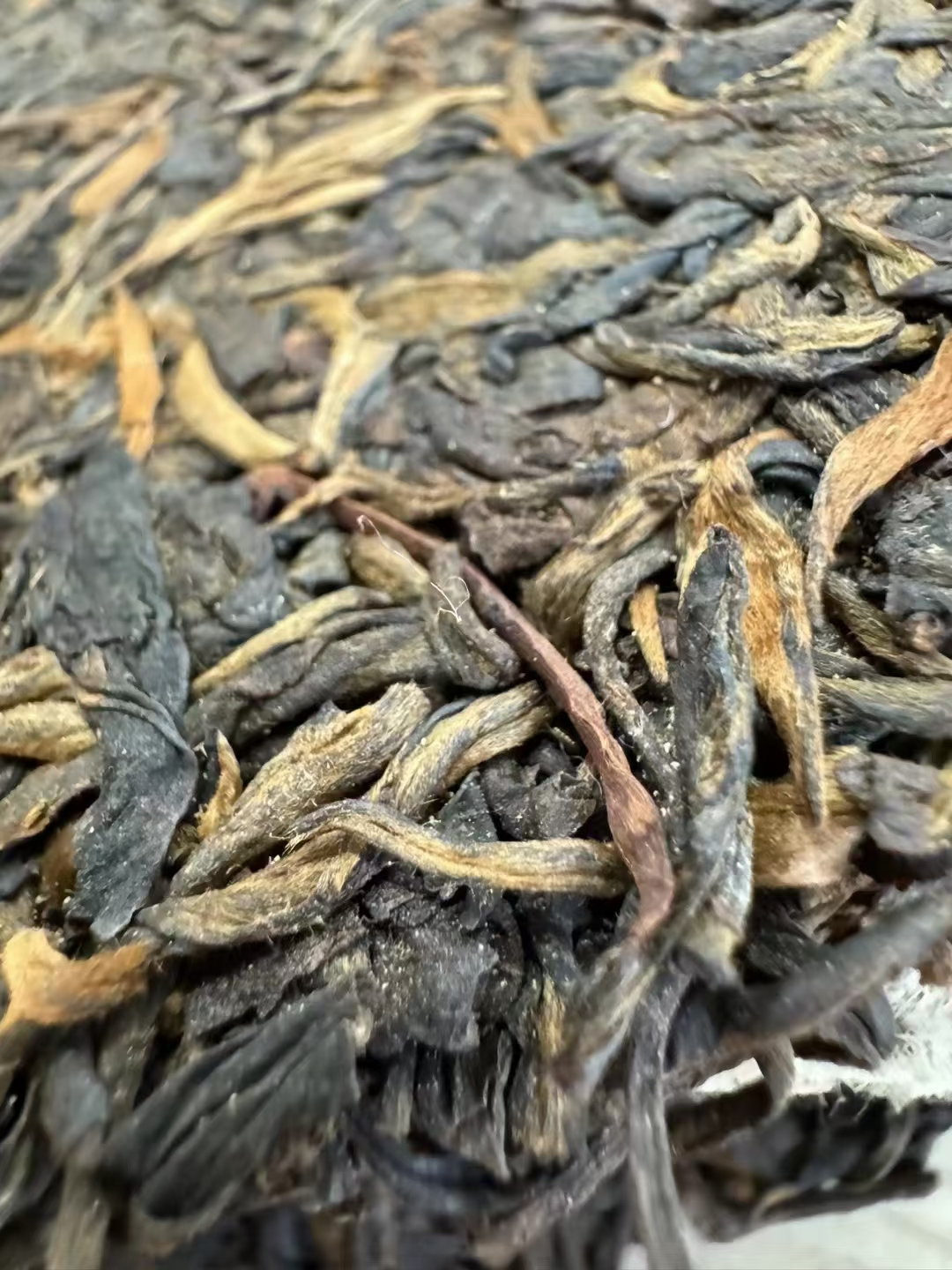 1999年海湾茶厂老同志易武野生7068青饼配图3