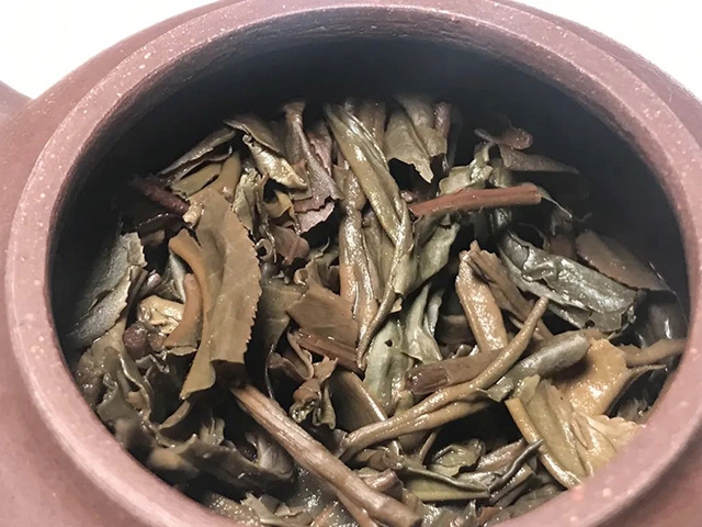 茶底信息图片1