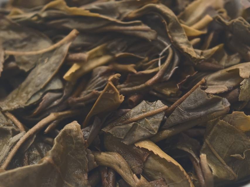 茶底信息图片1