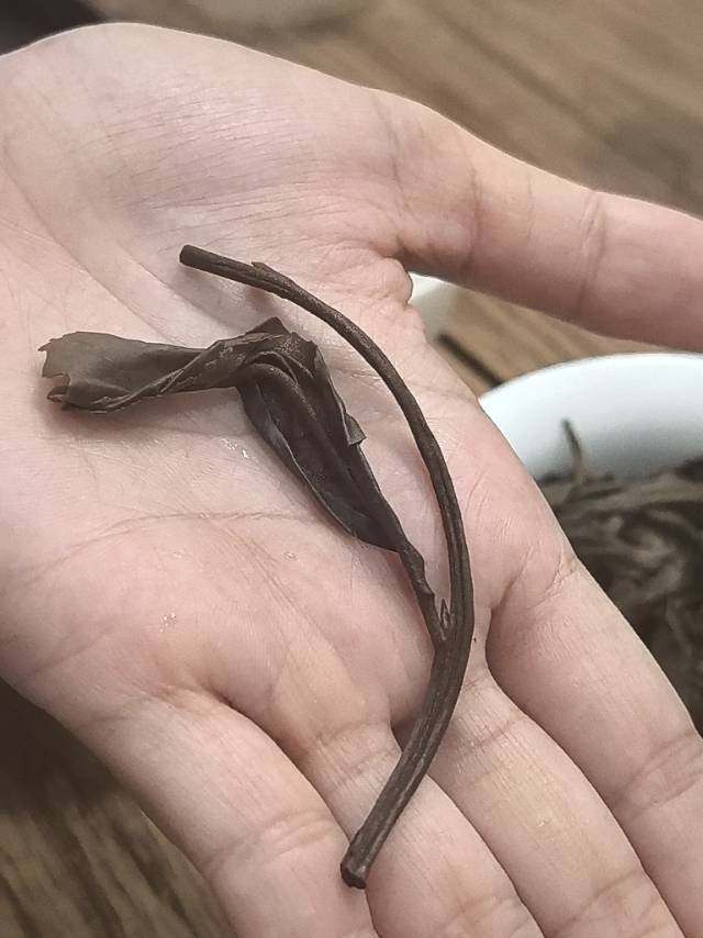 茶底信息图片2