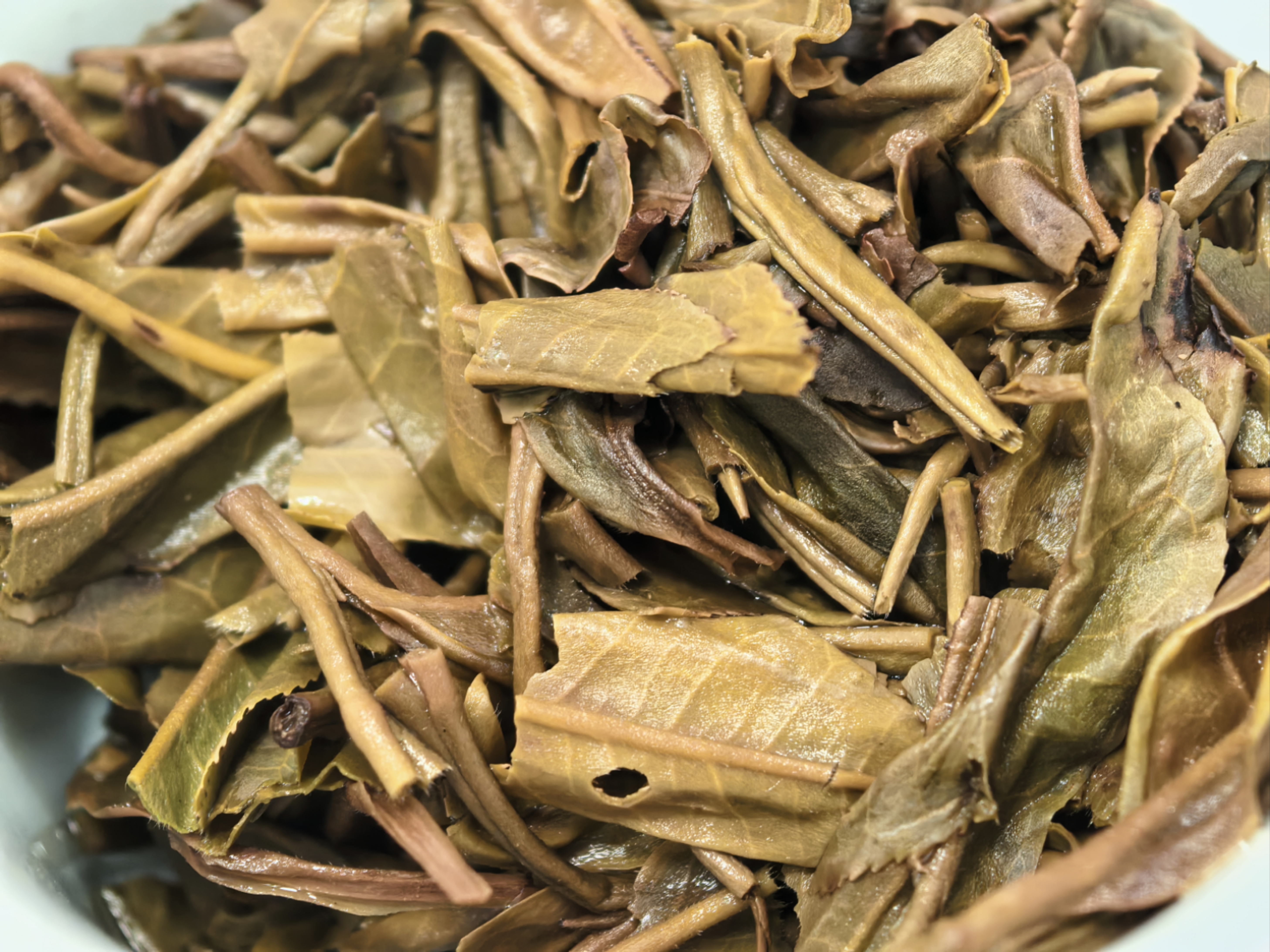 茶底信息图片1