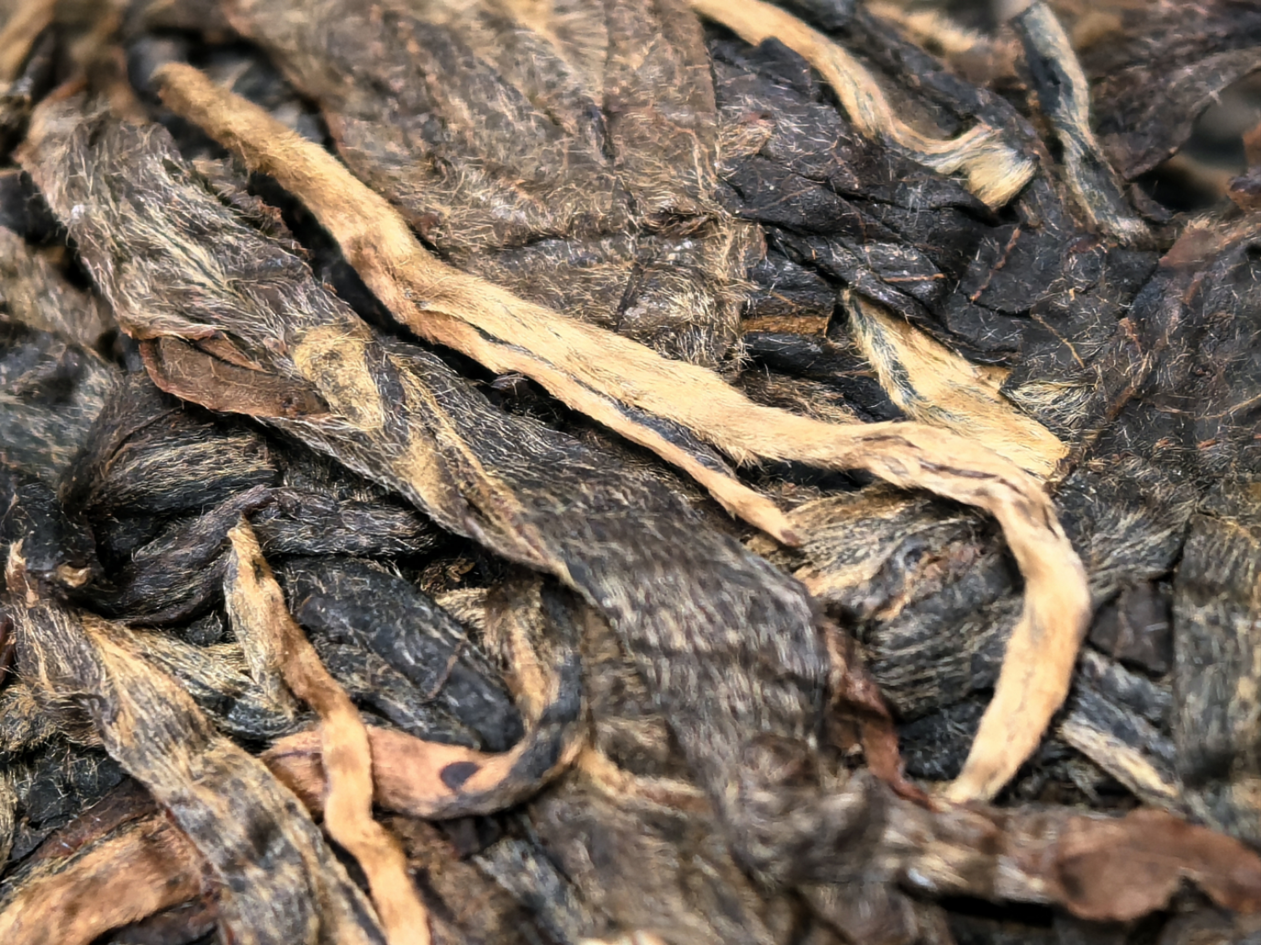 干茶信息图片1