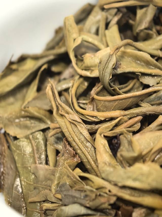 茶底信息图片1