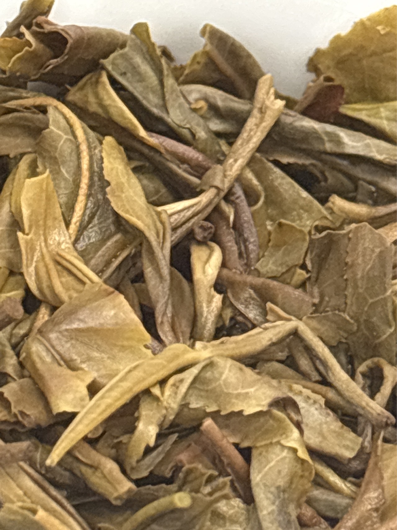茶底信息图片1