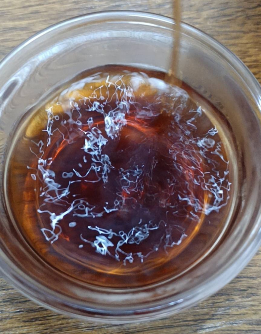 第6泡茶图片1