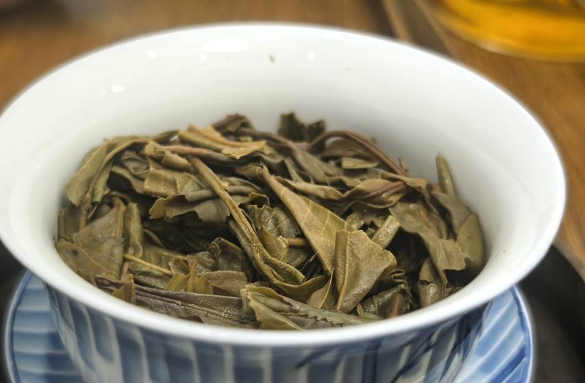 茶底信息图片1