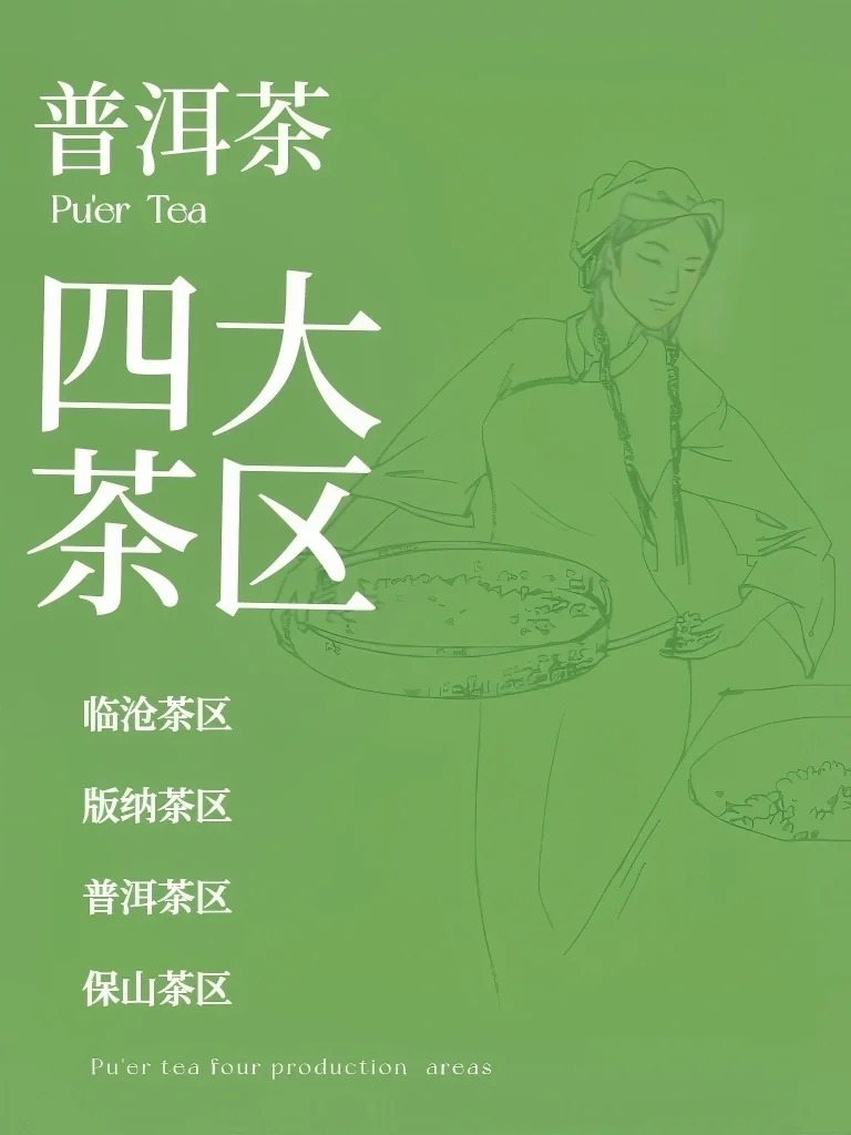 建议收藏‼️云南普洱茶茶区你知道多少?配图1