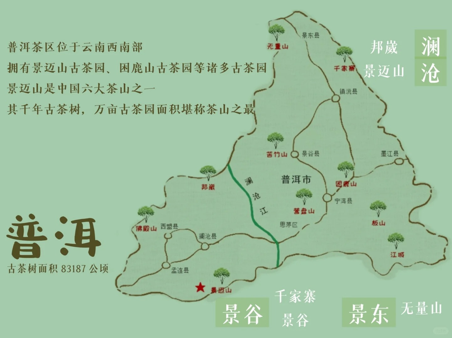建议收藏‼️云南普洱茶茶区你知道多少?配图3
