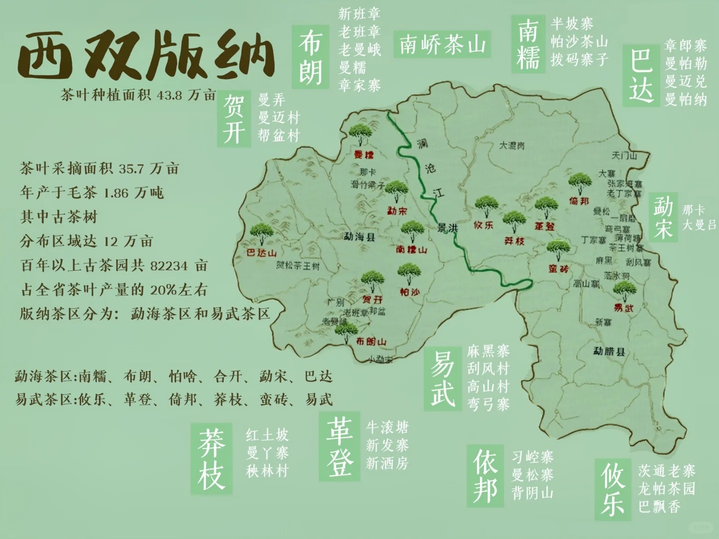 建议收藏‼️云南普洱茶茶区你知道多少?配图5