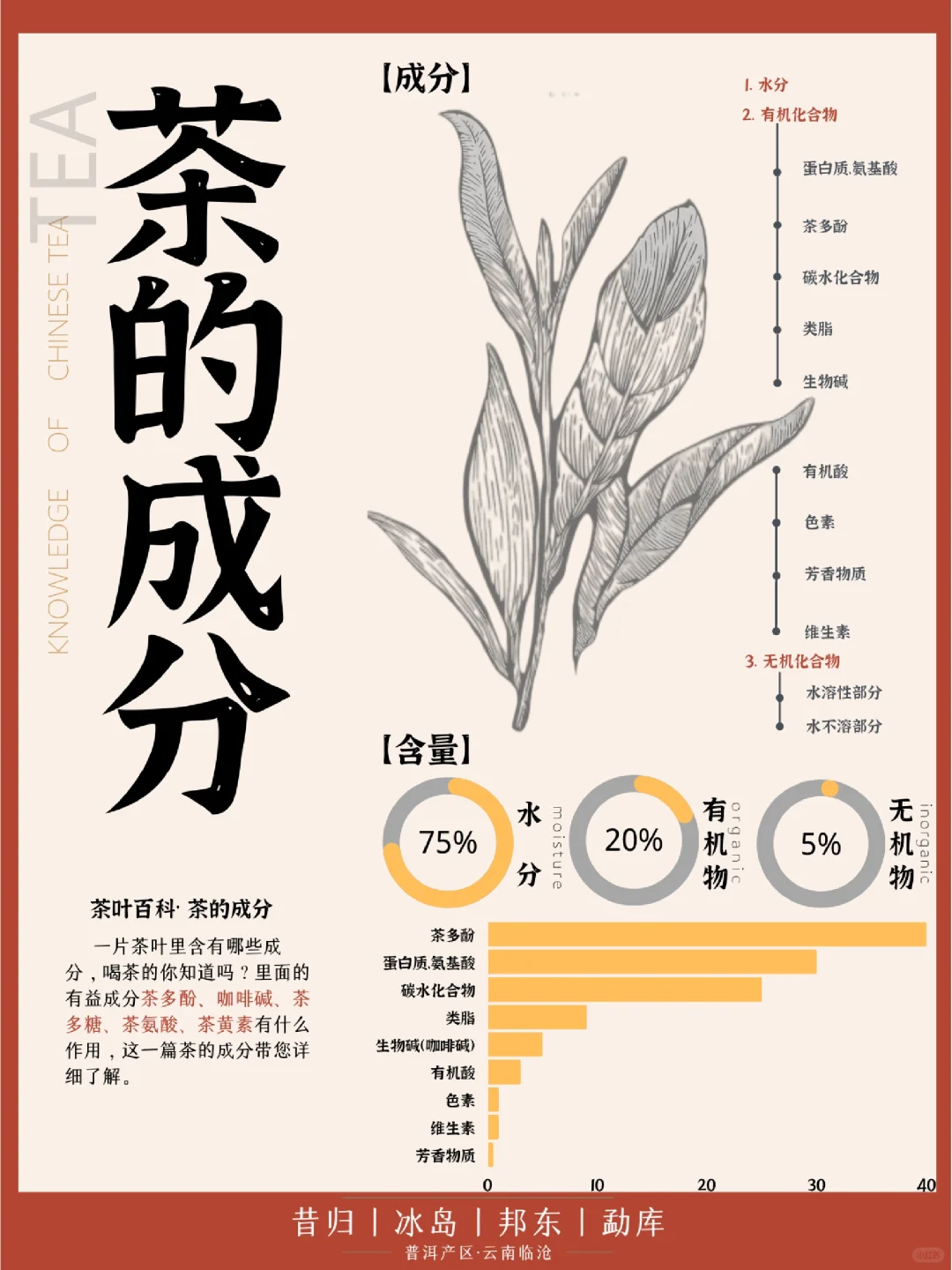 茶成分🍵喝茶要知道我们喝了什么配图1