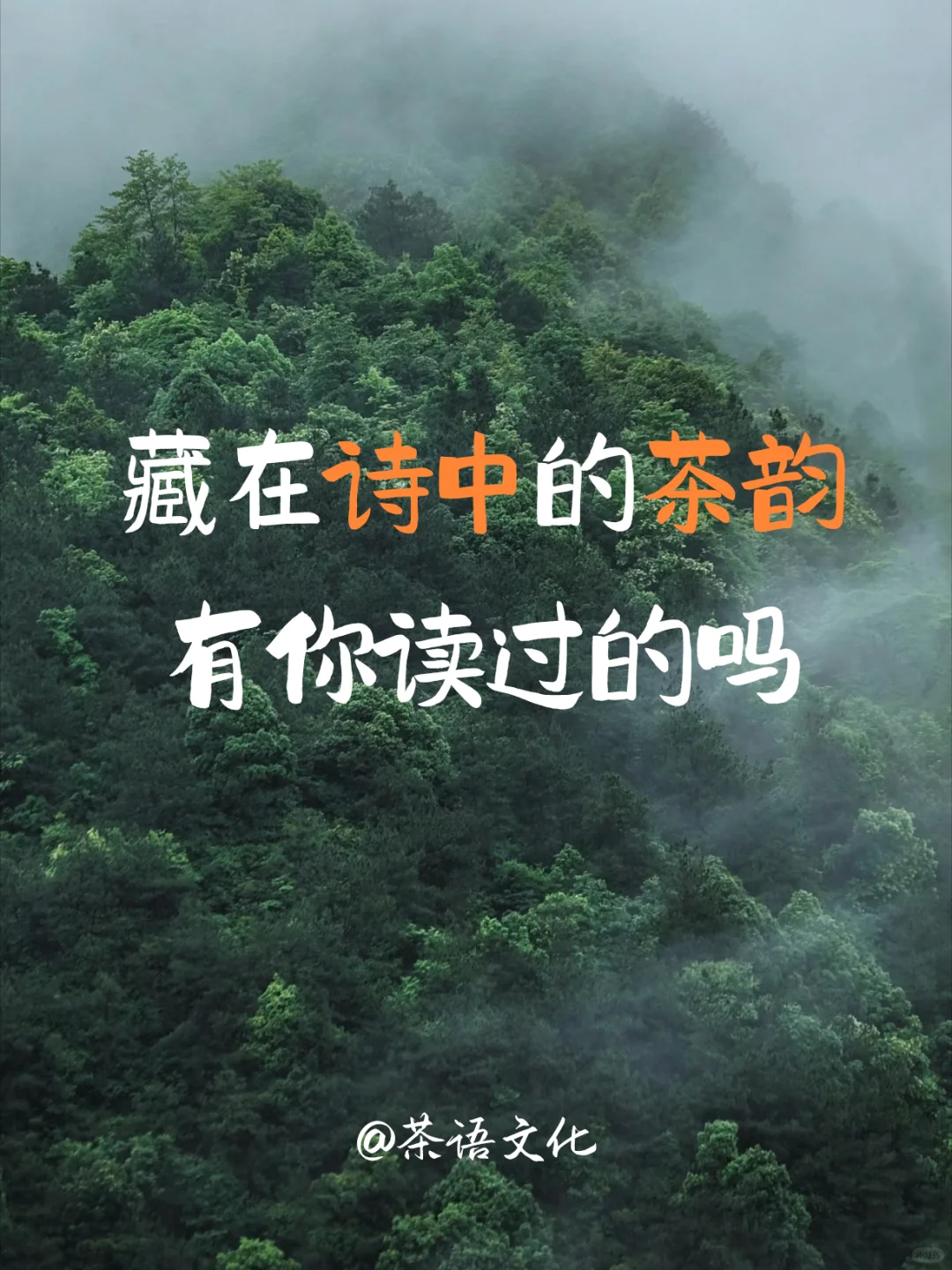 文人笔下意境绝美的茶诗 | 送给爱茶的你☀配图1