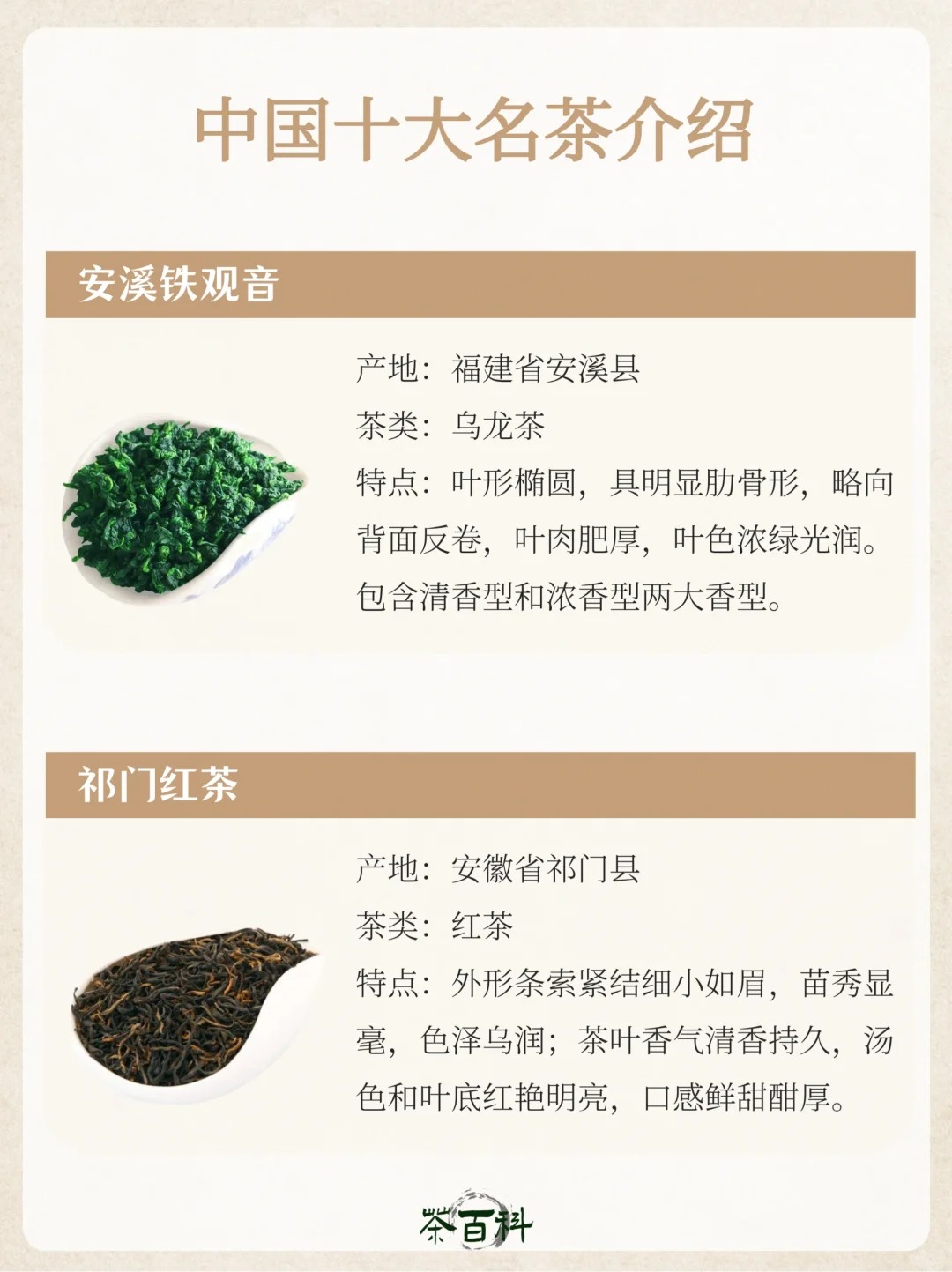 茶知识|中国十大名茶🍵知识干货汇总配图1
