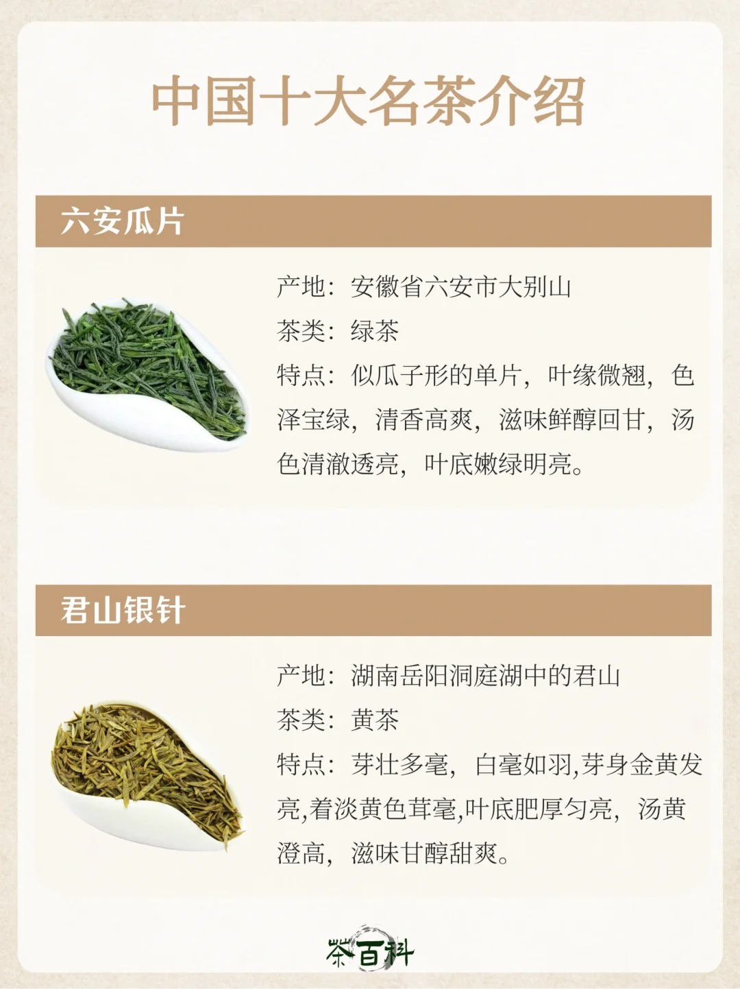 茶知识|中国十大名茶🍵知识干货汇总配图3