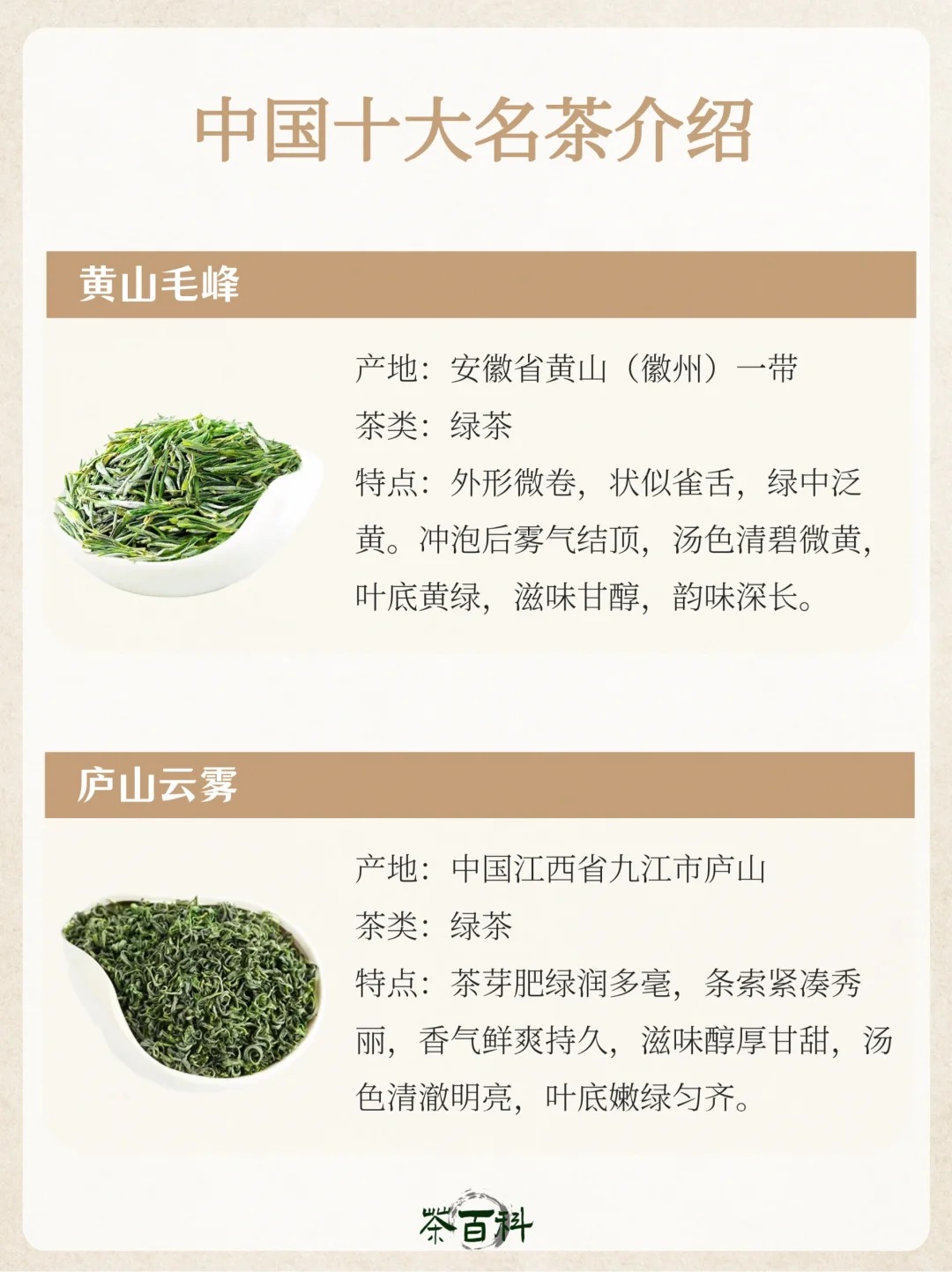 茶知识|中国十大名茶🍵知识干货汇总配图5