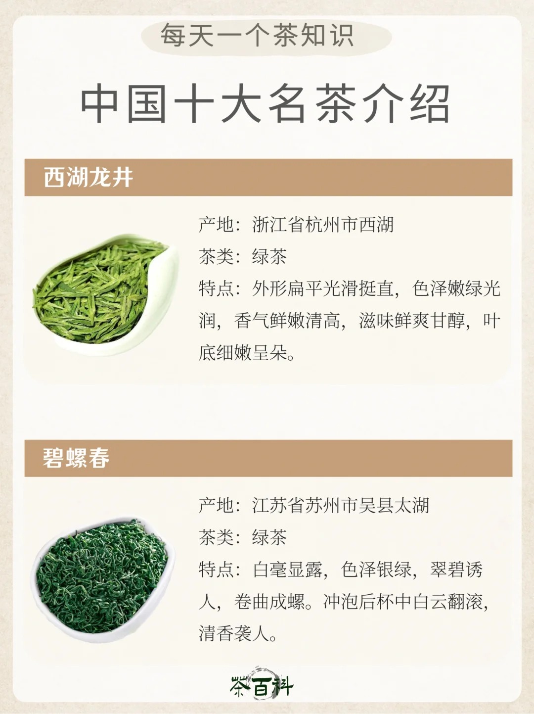 茶知识|中国十大名茶🍵知识干货汇总配图4