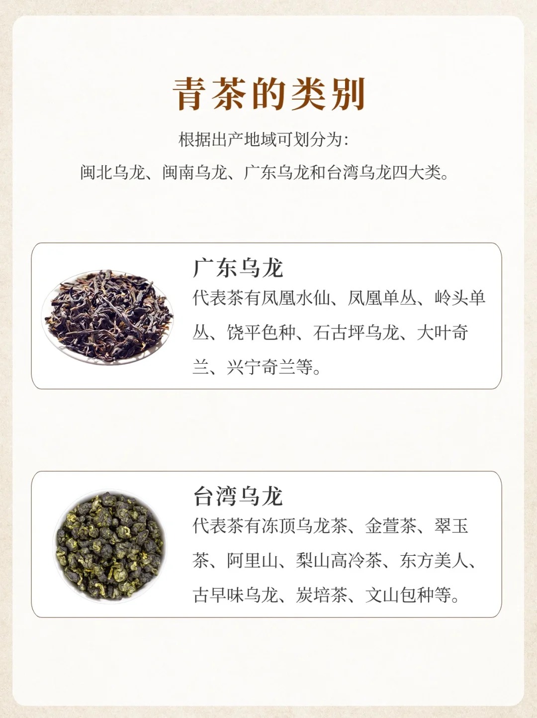 文带你了解青茶的历史起源🍵配图5