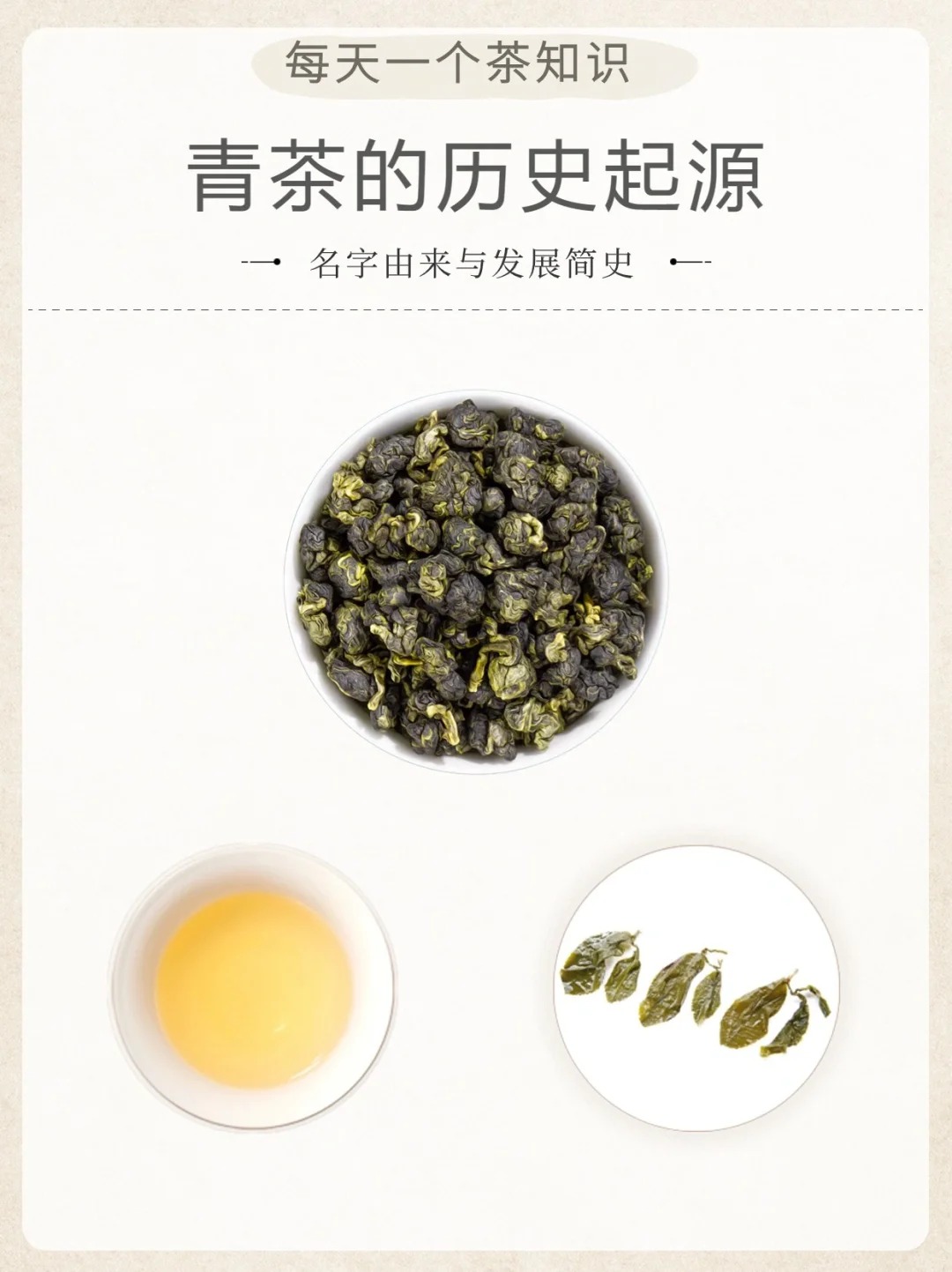文带你了解青茶的历史起源🍵配图1
