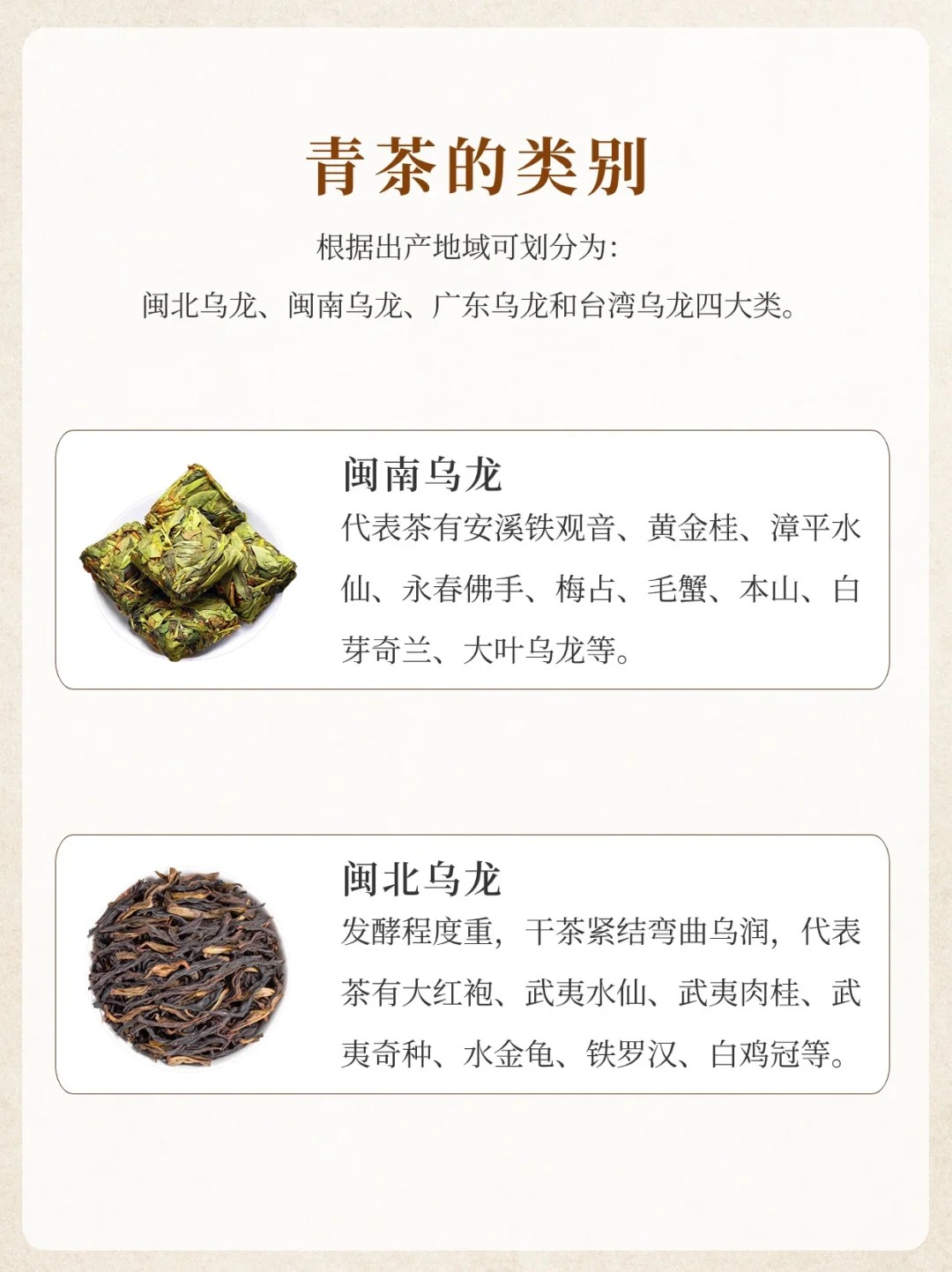 文带你了解青茶的历史起源🍵配图4