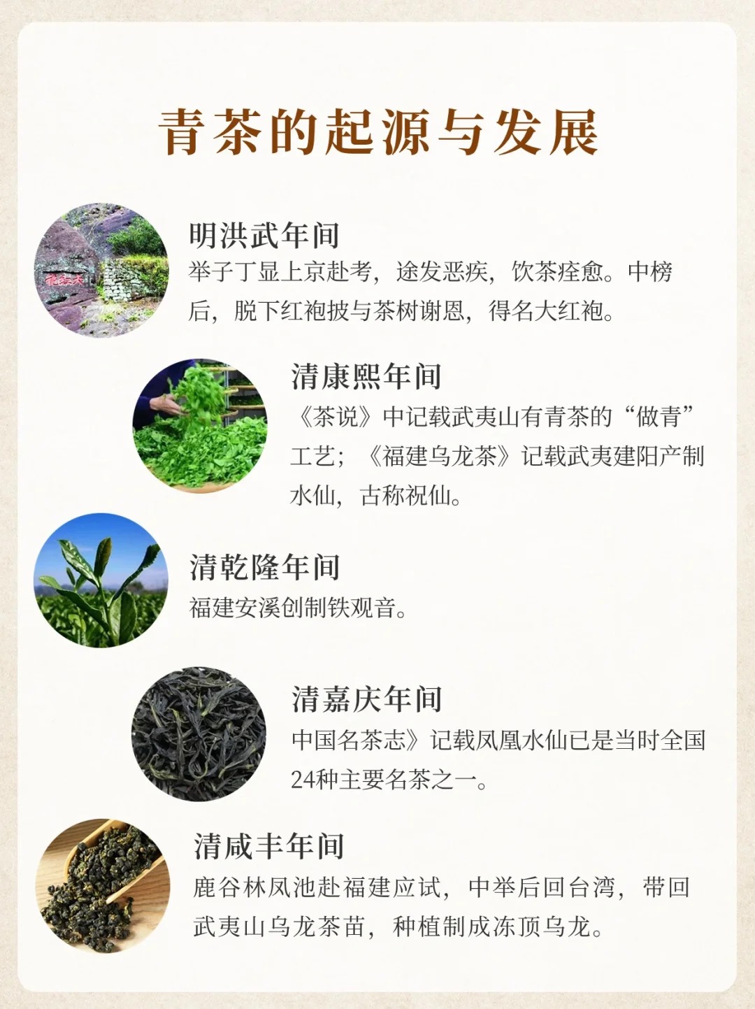 文带你了解青茶的历史起源🍵配图3