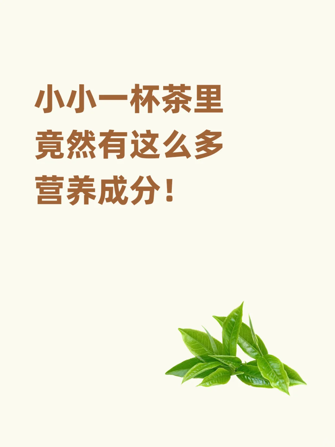 一杯茶里的营养成分有多高?!配图1