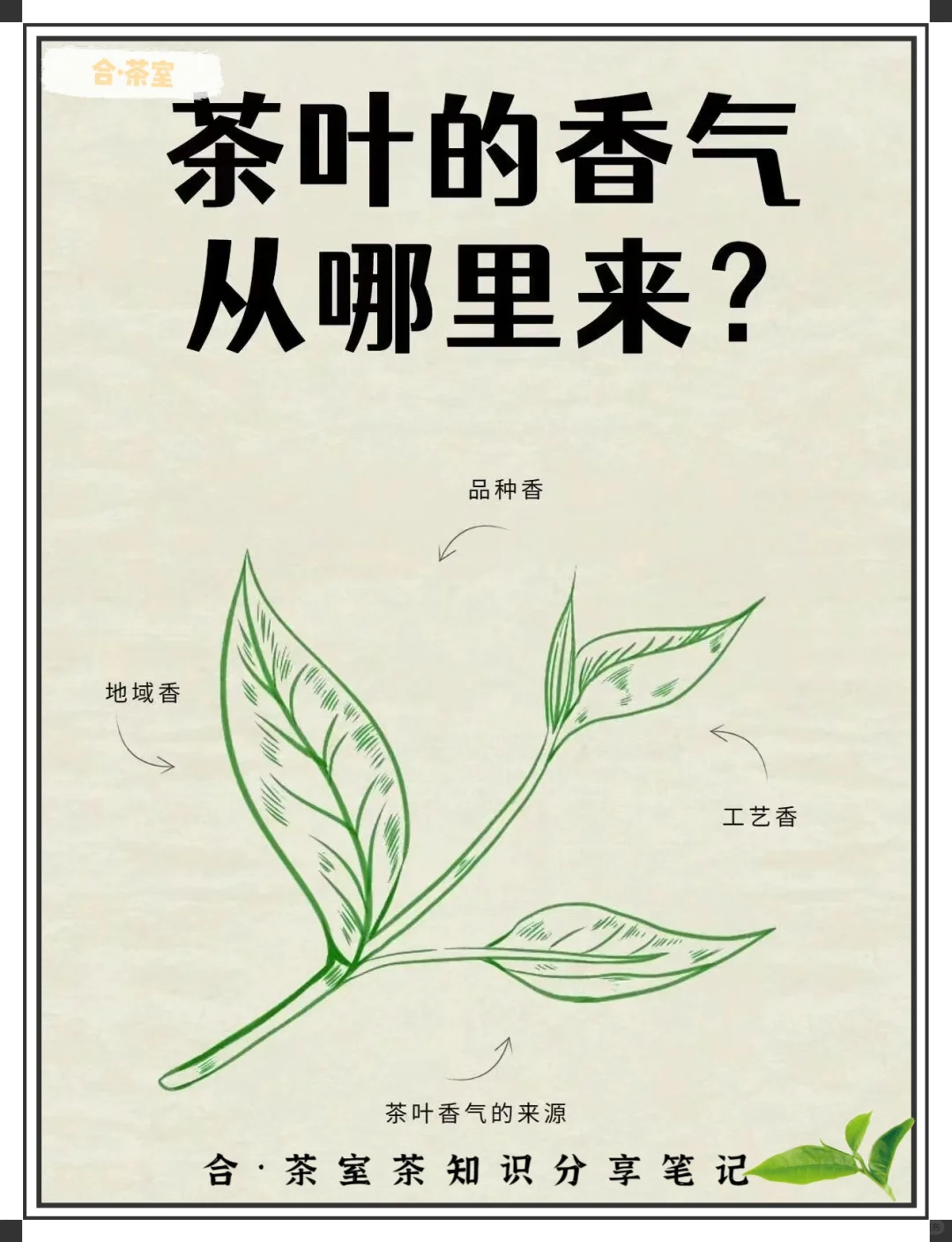 茶叶香气从哪里来?配图1