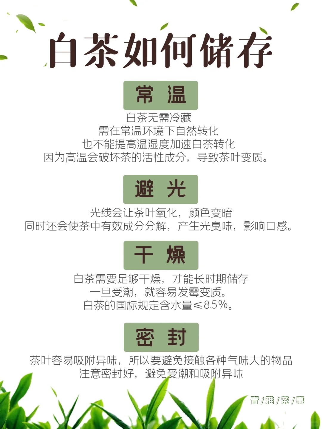 存储篇丨白茶日常怎么存放配图1