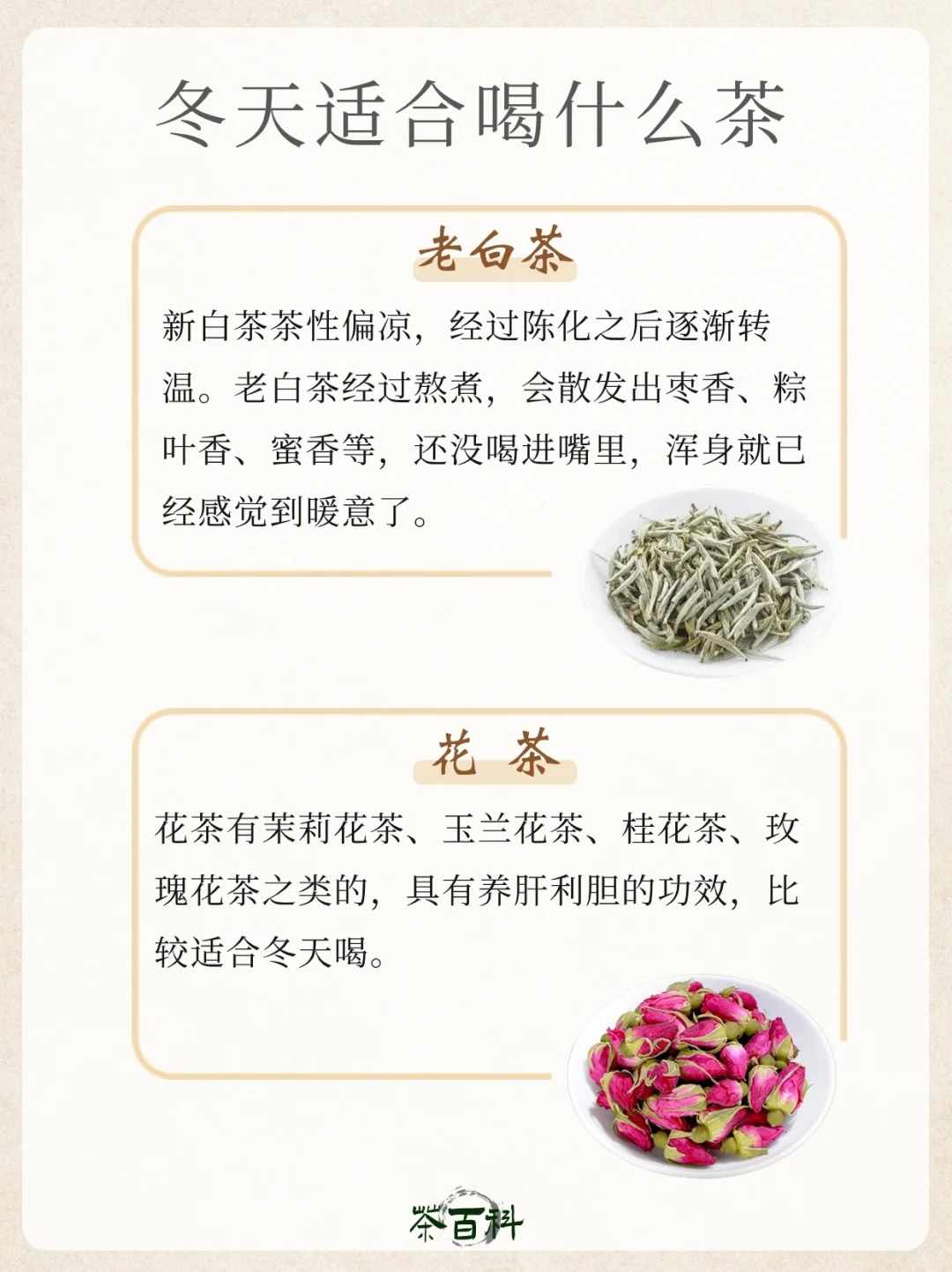 茶知识|冬天适合喝什么茶🤔配图3