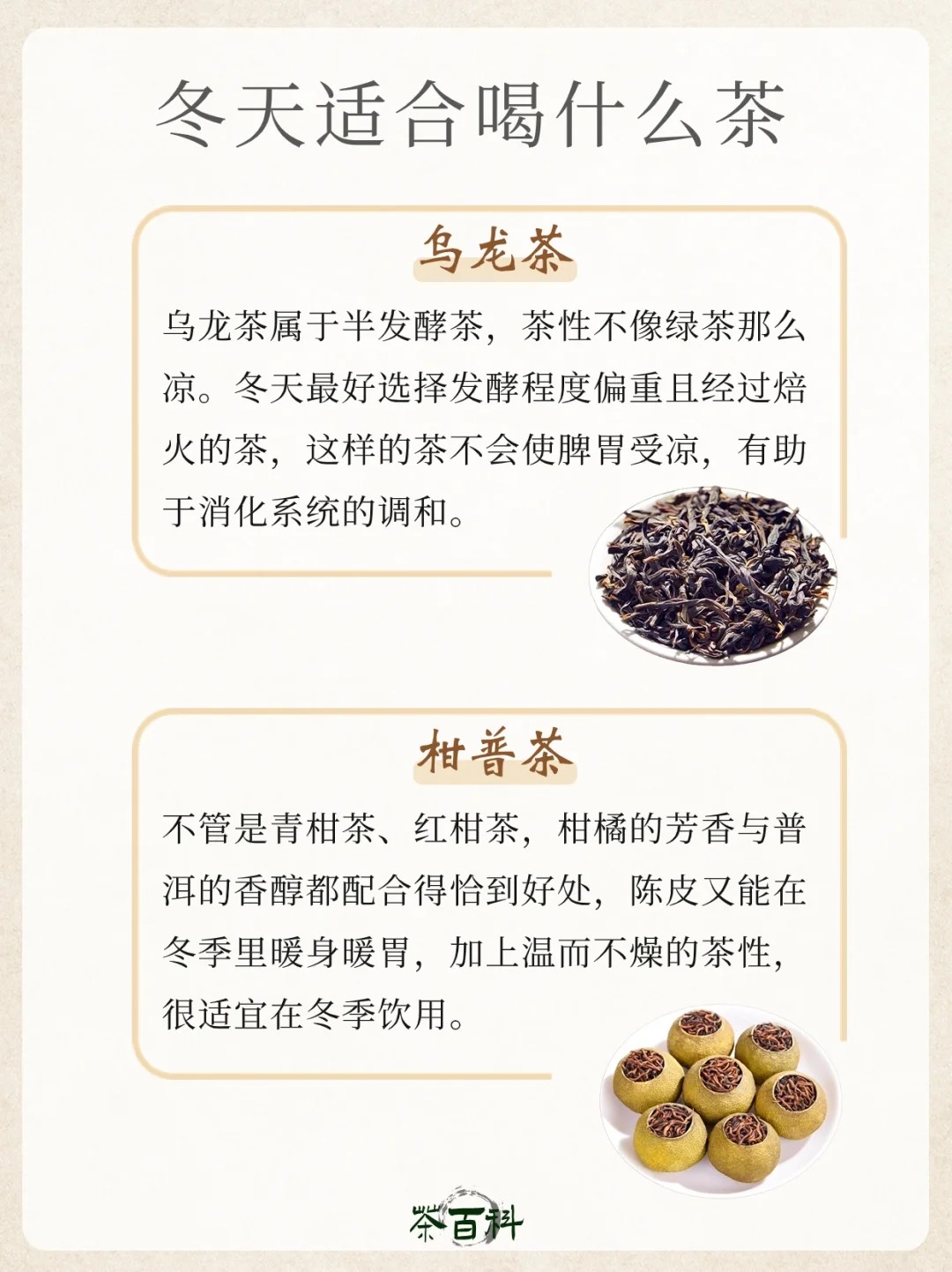 茶知识|冬天适合喝什么茶🤔配图1