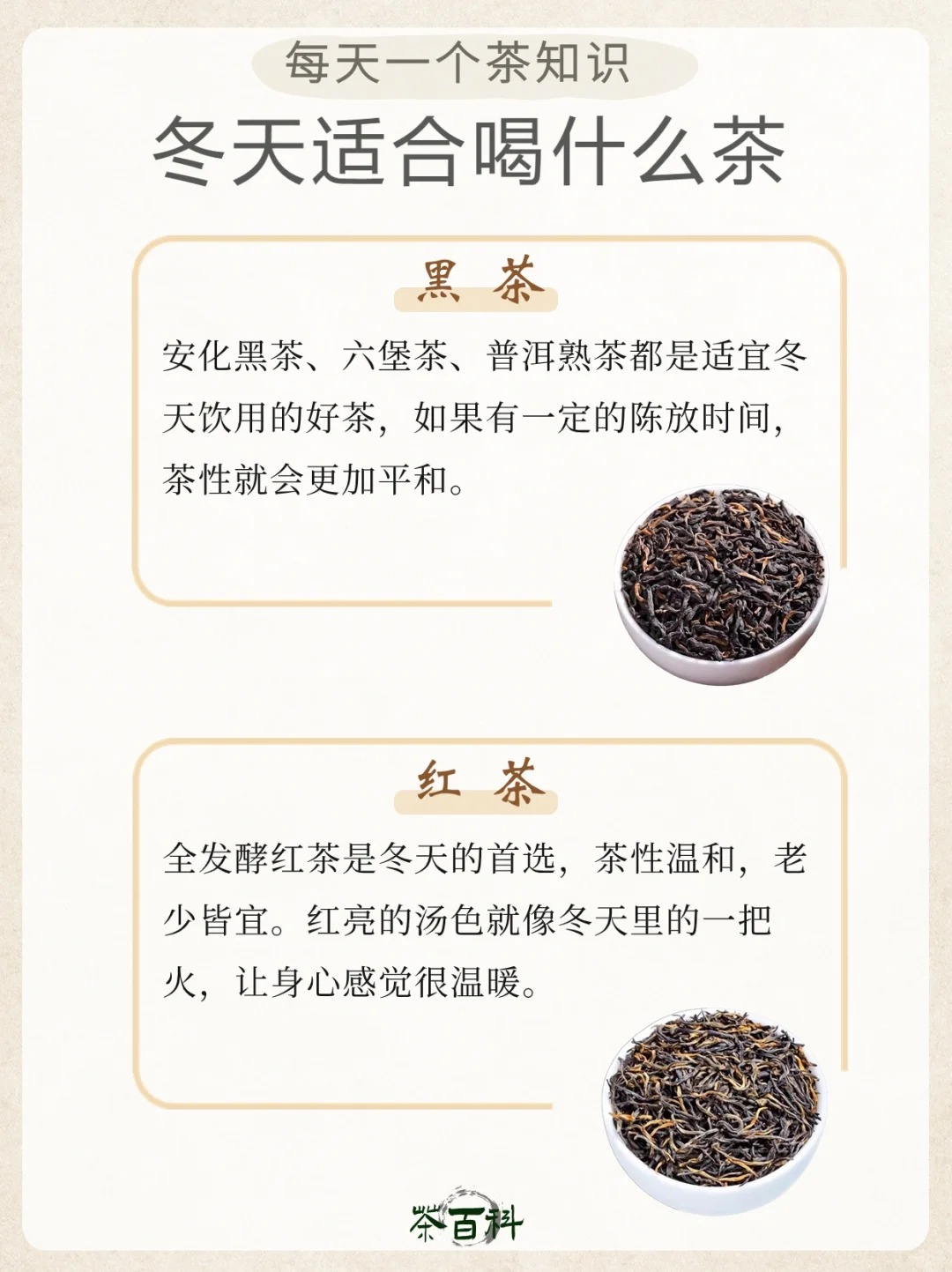 茶知识|冬天适合喝什么茶🤔配图2